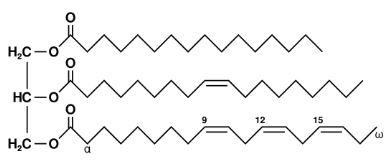diagram showing different types of fat molecules